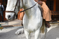 cowboy-club-münchen-2016-versammlung-06