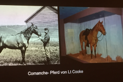 cowboy-club-münchen-2017-custers-letzte-schlacht-13