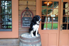 cowboy-club-münchen-2019-river-camp-WQMW9246