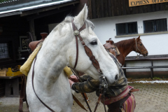 cowboy-club-münchen-reiten-06