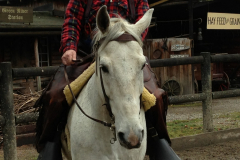 cowboy-club-münchen-reiten-07