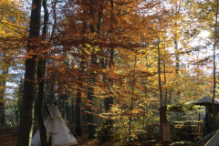 cowboy-club-münchen-unser-gelände-im-herbst-01