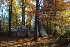 cowboy-club-münchen-unser-gelände-im-herbst-02