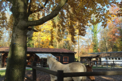 cowboy-club-münchen-unser-gelände-im-herbst-04