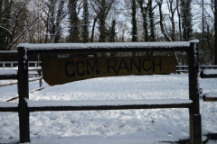 cowboy-club-münchen-unser-gelände-im-winter-05