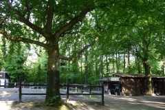 cowboyclub-münchen-unser-gelände-im-sommer-12